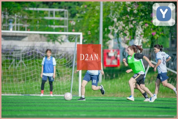 D2AN