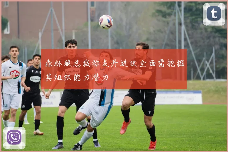 森林狼总裁称麦丹进攻全面需挖掘其组织能力潜力
